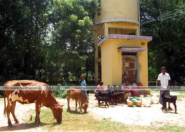 The drinking water connection was disconnected with sheep and cow dinner before the darana protest room